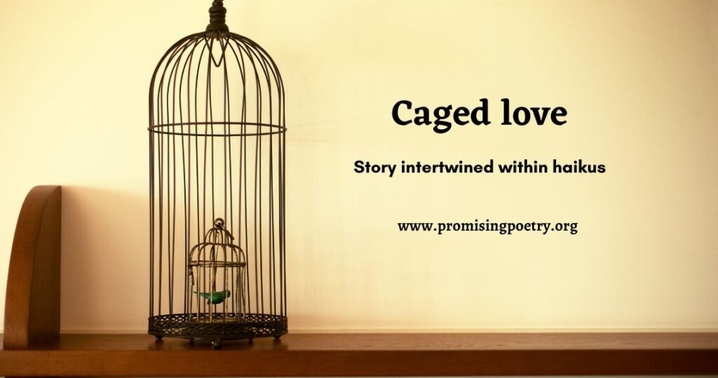 Image of a caged parrot
